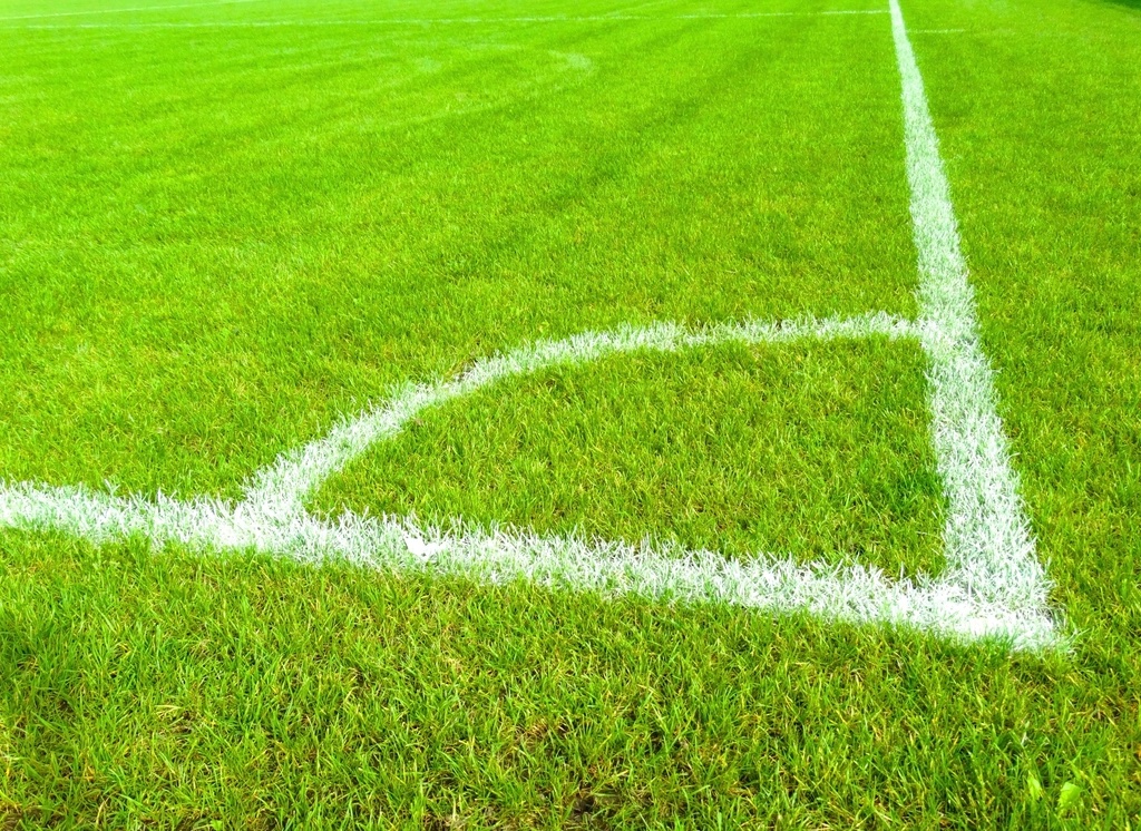 Close-up of a freshly painted corner line on a soccer field